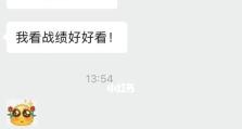 《小明单挑李元芳出装攻略》（打造无敌输出小明，征服王者峡谷！）