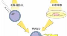 重生细胞的神奇作用（探秘细胞再生的）
