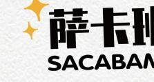 以撒卡出装攻略（必备装备和技巧，让你在游戏中无往不胜！）