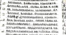 《烟雨江湖》阅历快速刷法详解（从炸炉到高效，一步步揭开秘密）