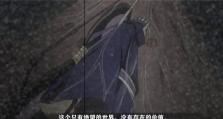火影忍者手游（探究干柿鬼鲛鲛肌融合奥义技能的特点、技能名及效果）