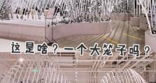 《剑三仙踪林攻略》（探秘林中机关与宝藏，解锁仙踪之谜）