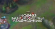 征服者辅助乌鸦出装攻略（打造无敌辅助乌鸦，出装攻略揭秘）