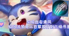 新版本梦奇纯肉出装攻略（打造无敌肉山！最强纯肉梦奇出装及玩法解析）