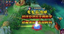 貂蝉出装攻略及铭文张大仙的精彩解读（提升你的貂蝉技巧，带你领略张大仙的无敌操作）