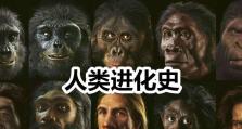 南极求生技能搭配攻略，让你在极寒环境中存活下来！（掌握关键技能，迎接南极极寒挑战，求生无忧！）
