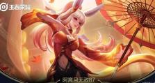 以阿离另类出装铭文攻略（打破常规，用铭文提升阿离的战斗力）