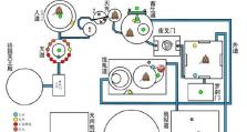 达摩技能加点攻略（掌握关键技能，成为战斗之王！）