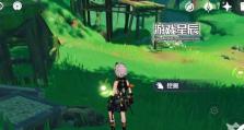 揭秘原神须弥隐藏攻略（一场寻找隐藏宝藏的冒险之旅）
