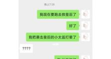 《以本宫心机深沉游戏攻略》（发掘游戏的细节，制胜战场！）