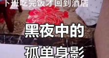 消失在黑暗中游戏攻略（揭开黑暗的面纱，迎接冒险与挑战）