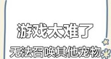 攻略史上最难小游戏，征服挑战！（突破极限，成为最强玩家！）