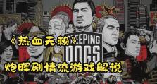 《热血无赖游戏解说攻略大全》（成为最强玩家的秘诀，攻略技巧一网打尽）