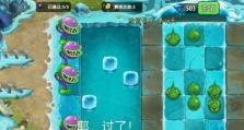 《冰川冒险小游戏攻略大揭秘！》（亲身体验寒冷世界，解锁隐藏关卡，畅游极地冰川）