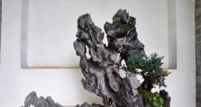 《攻略原神山石盆景的秘诀》（山石盆景，凝聚山水灵气的艺术品，教你打造原神般的奇观）