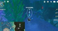 《原神义卖任务攻略大揭秘》（从零开始，轻松解决所有义卖任务！）