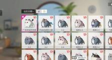 如何用最少的体力在《猫之城》游戏中获取最大收益（掌握这些技巧，提高游戏效率）