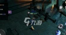 《新盗墓笔记》游戏装备属性选取指南（如何选取最适合自己的装备属性，让你在游戏中无往不利？）