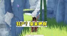 《不良人3》汴州隐藏宝箱攻略（寻找宝藏的秘密——汴州宝箱位置全解）