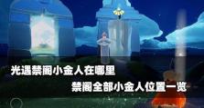 《光遇》禁阁小金人位置指南（在游戏中轻松获得所有小金人的秘诀）