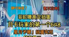 幻塔520幻梦之轮扭蛋奖励一览（探究幻梦之轮的神秘奖励，玩家必看！）
