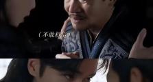 《以庆余年》中最适合从事的职业（游戏中的职业选择和优缺点分析）
