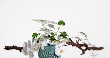 《烟雨江湖花艺》插花配方攻略（如何学习插花配方，打造美丽花艺）
