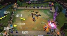 云顶之巅攻略（从基础到高阶，教你玩转云顶之巅游戏模式）