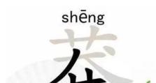 如何成为《汉字找茬王》游戏综艺消一消通关大神（掌握技巧，成为游戏玩家的梦想，攻略抖音、图文详解）