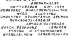 全球行动新手必备小技巧（掌握这些新手冷知识，让你的旅行更加从容）